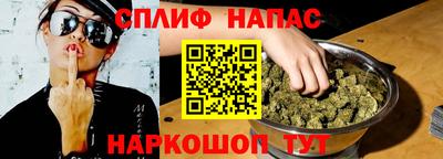 дмт Новокубанск