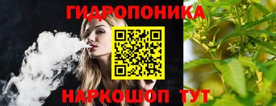 дмт Новокубанск
