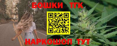 дмт Новокубанск