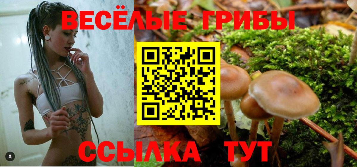 где найти   Вход с VPN  Фролово  Псилоцибиновые грибы ЛСД 